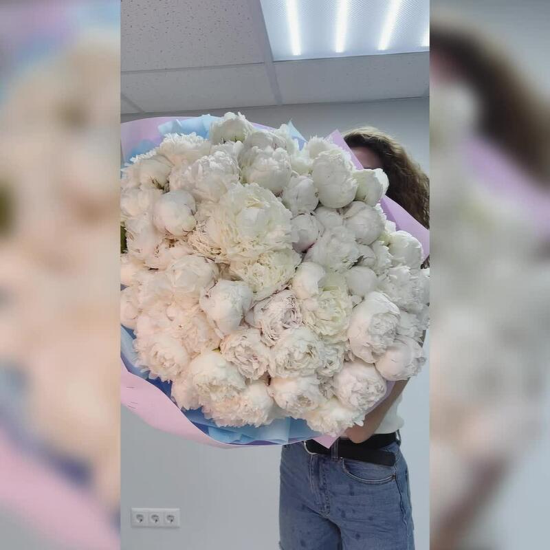 Белые пионы, 101  ароматные и крупные