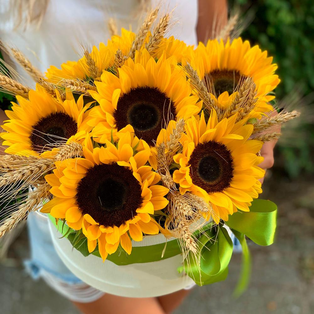 Подсолнухи в коробке