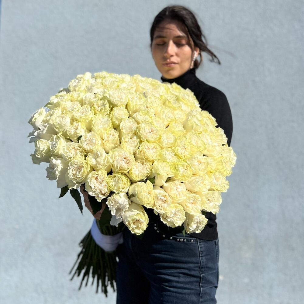 101 Роза Мондиаль + Открытка