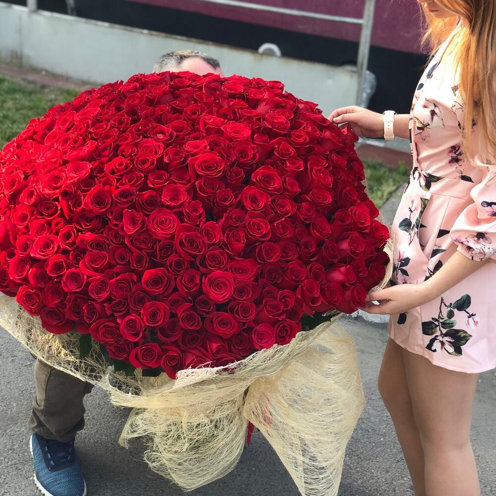 333 метровые розы