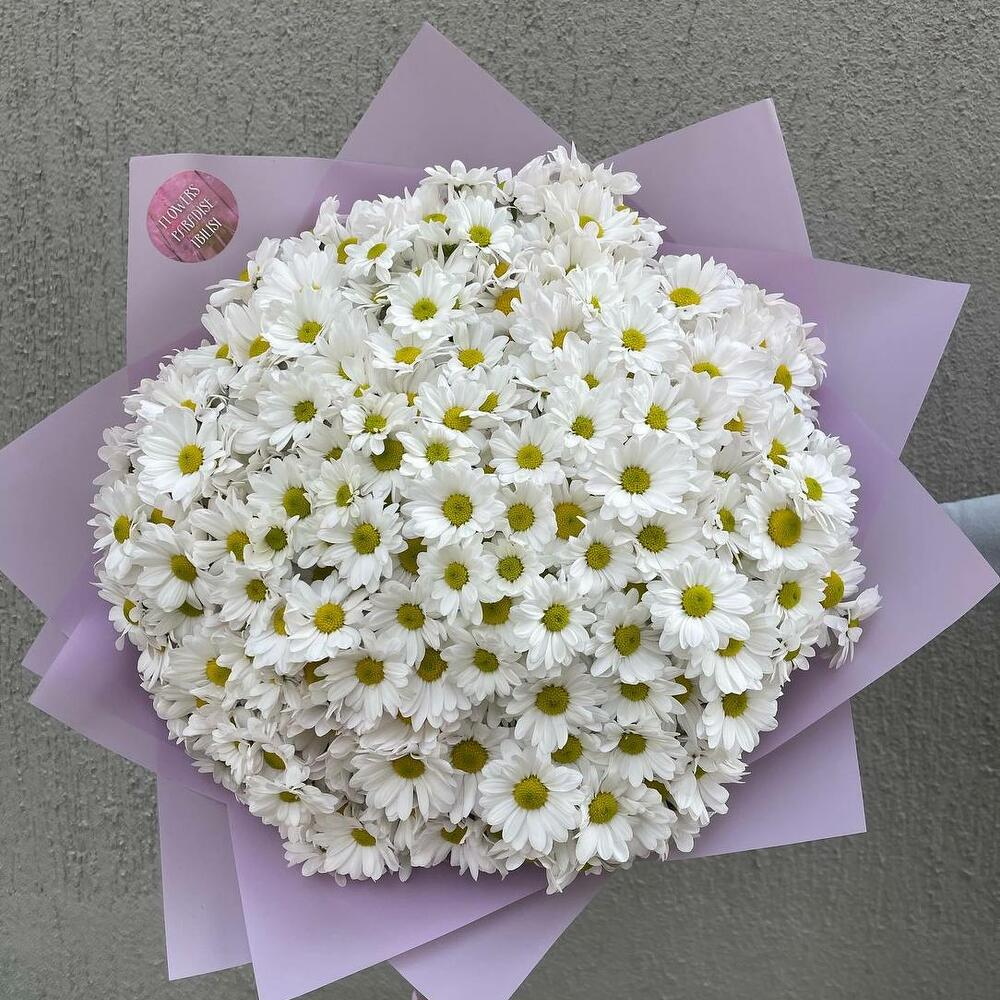 Монобукет из ромашковых хризантем