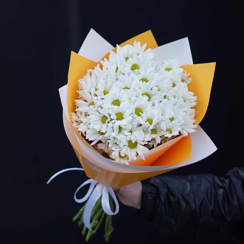 Ромашки (Хризантема)