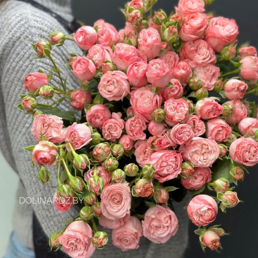 Мадам бомбастик