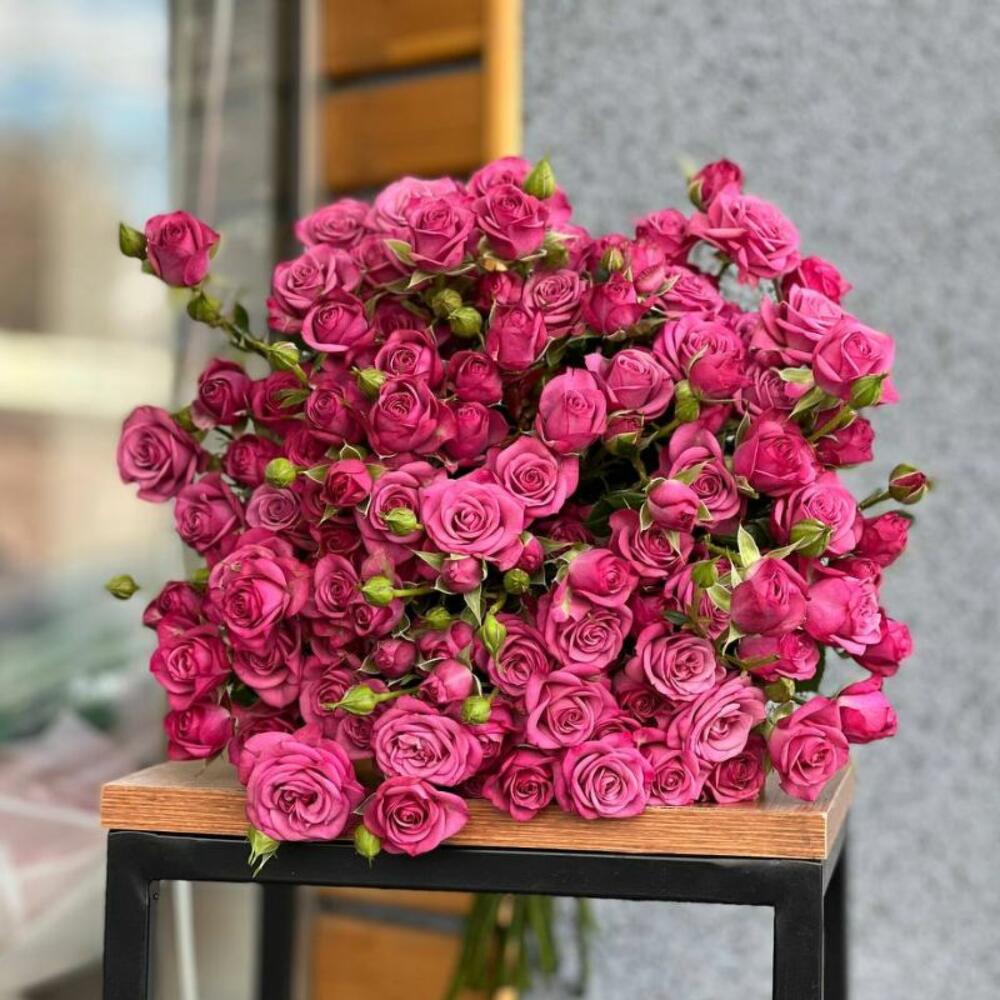 Кустовые розы-Purple