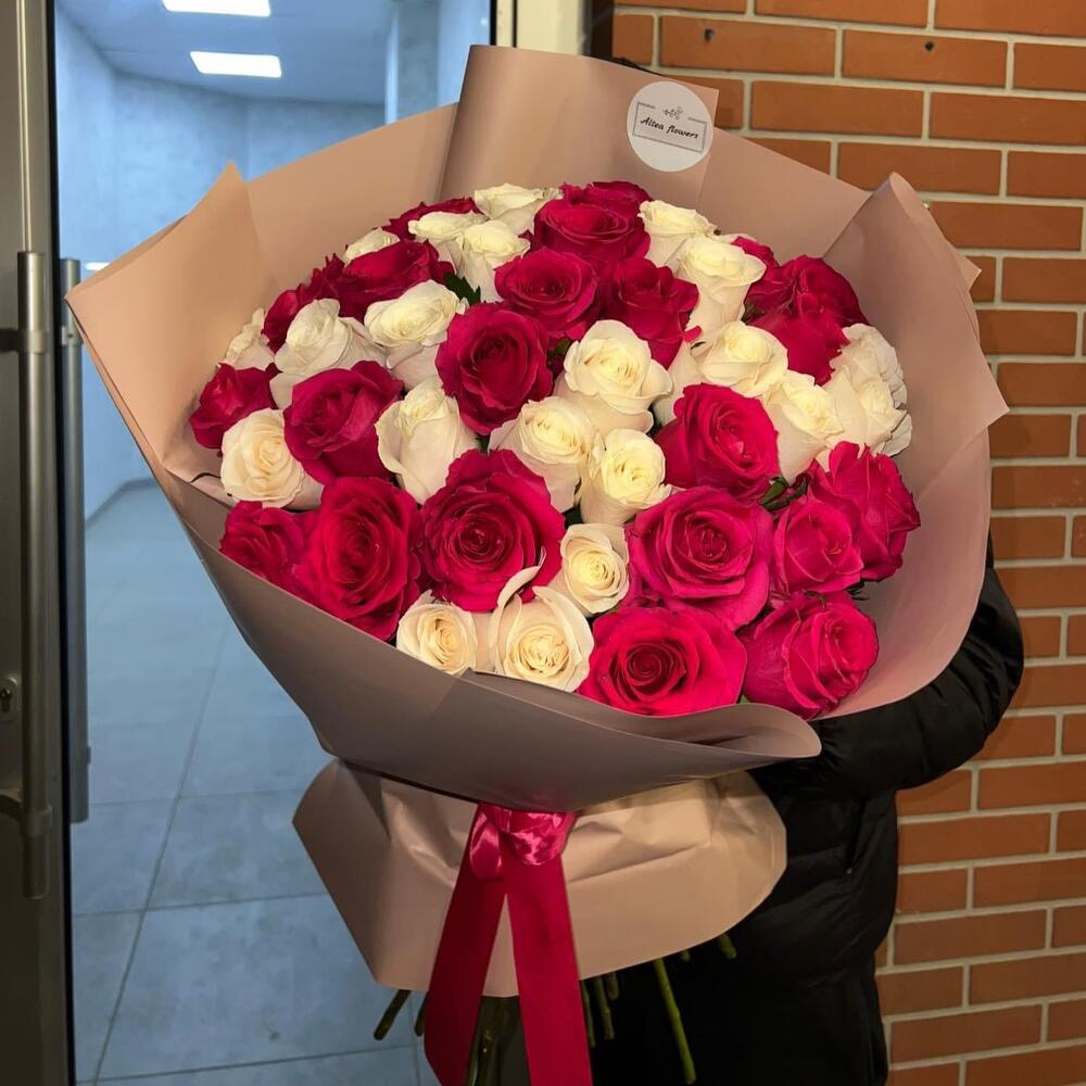 mix of crimson and white rose